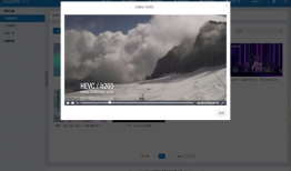 视频视频视频,一窥全貌